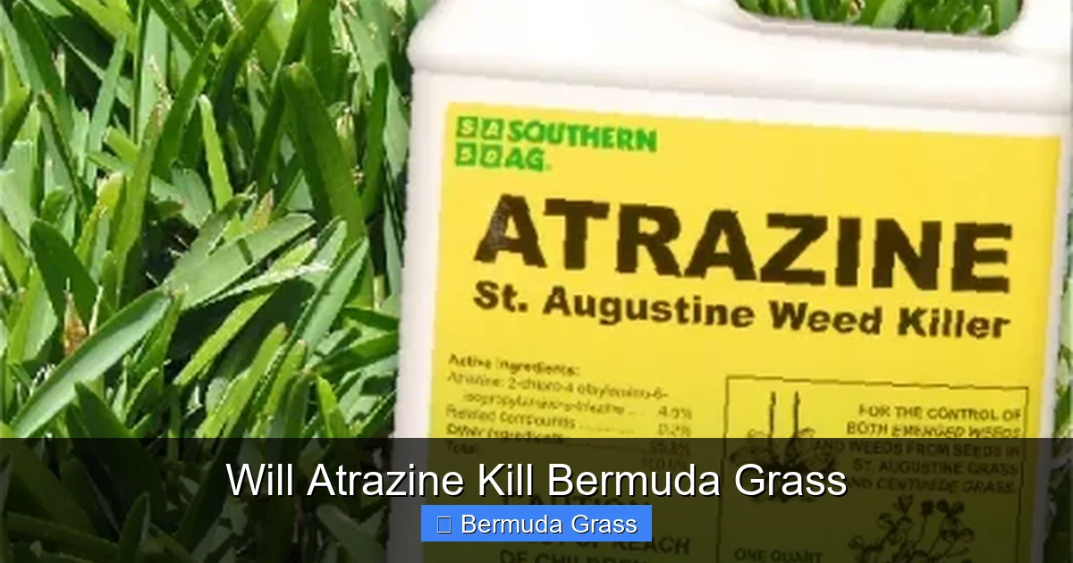 Will Atrazine Kill Bermuda Grass