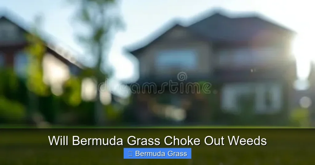 Will Bermuda Grass Choke Out Weeds