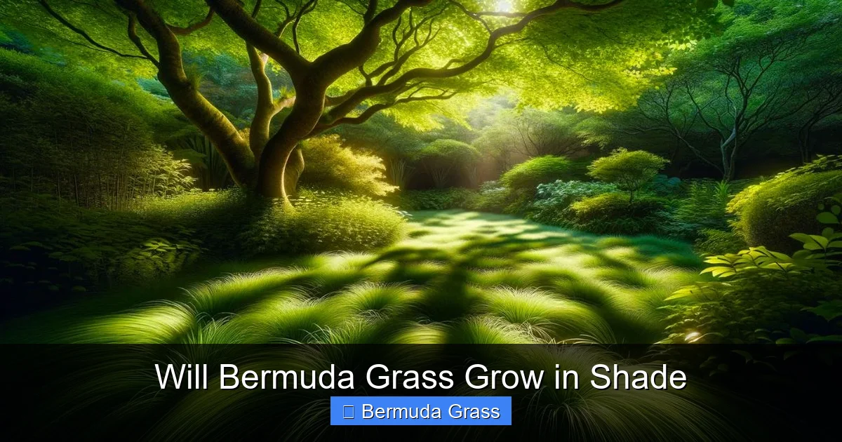 Will Bermuda Grass Grow in Shade
