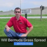 Will Bermuda Grass Spread