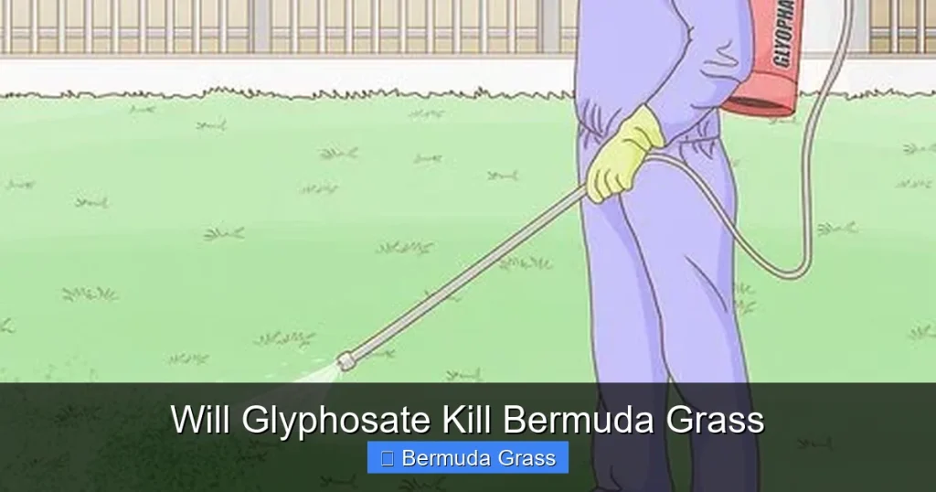 Will Glyphosate Kill Bermuda Grass