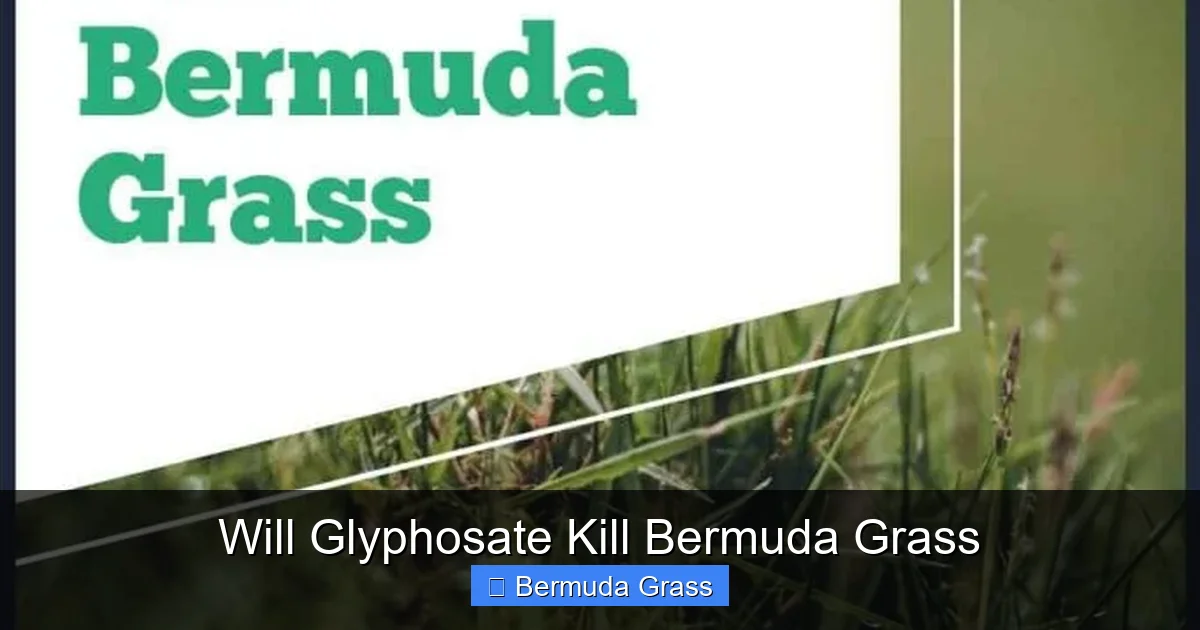 Will Glyphosate Kill Bermuda Grass