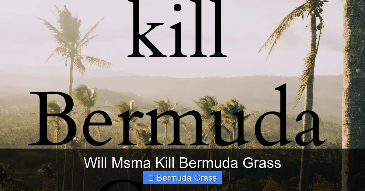 Will Msma Kill Bermuda Grass