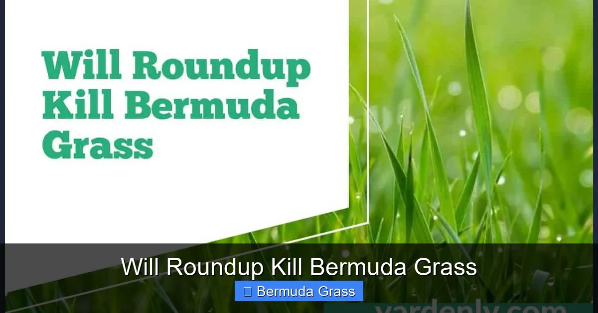 Will Roundup Kill Bermuda Grass