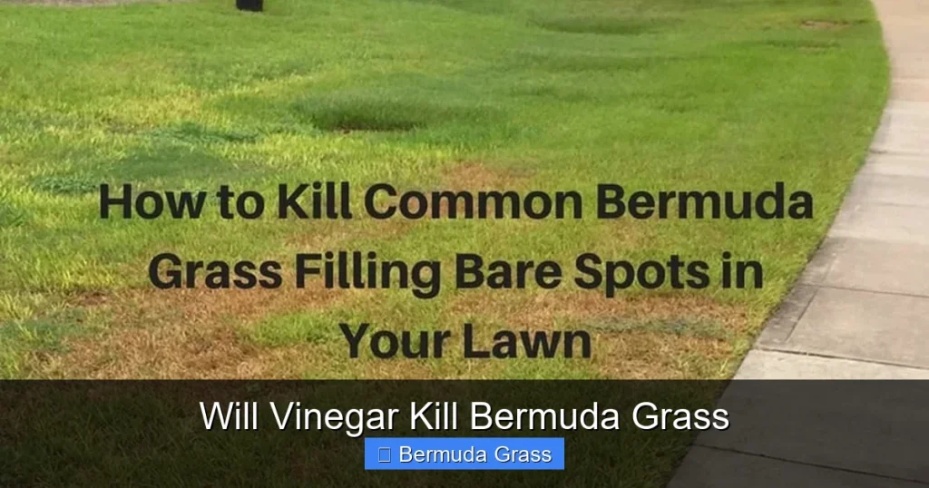 Will Vinegar Kill Bermuda Grass