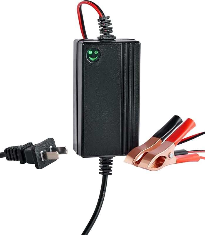 Orion Motor Tech 12V Battery Charger, Multipurpose Charger Power Bank 