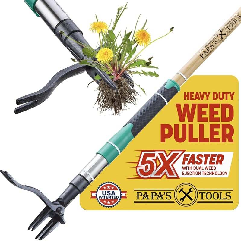 Papa's Tools 44
