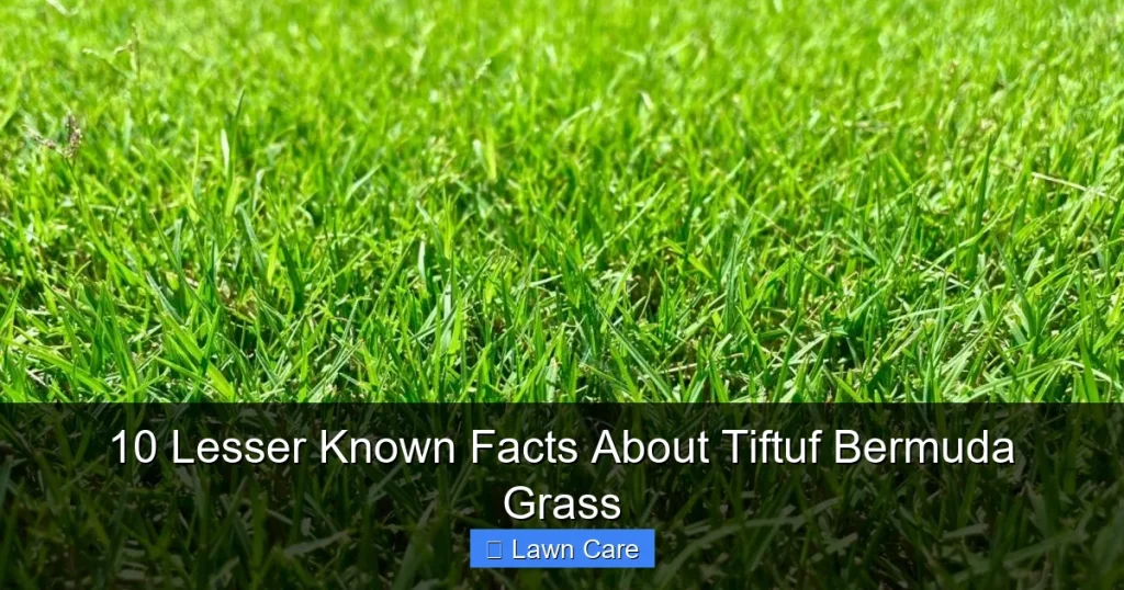 10 Lesser Known Facts About Tiftuf Bermuda Grass