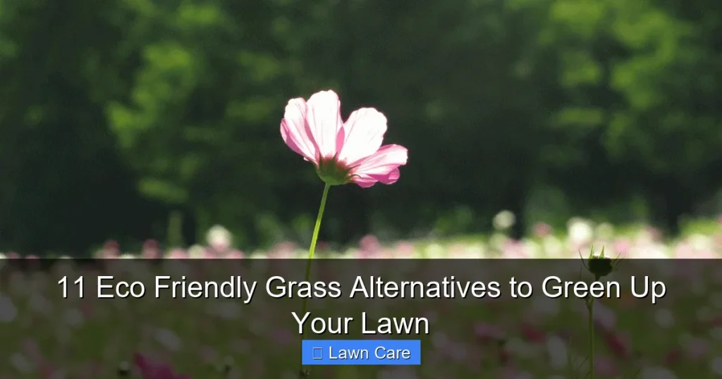 11 Eco Friendly Grass Alternatives to Green Up Your Lawn