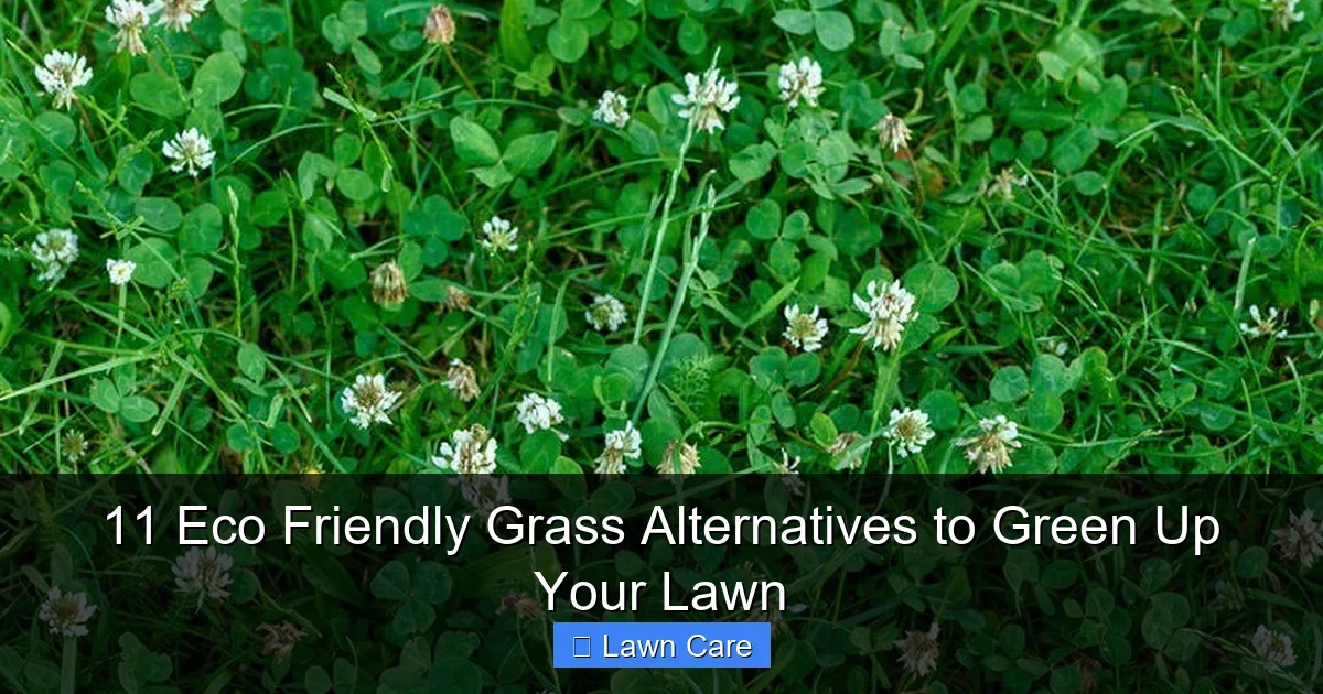 11 Eco Friendly Grass Alternatives to Green Up Your Lawn
