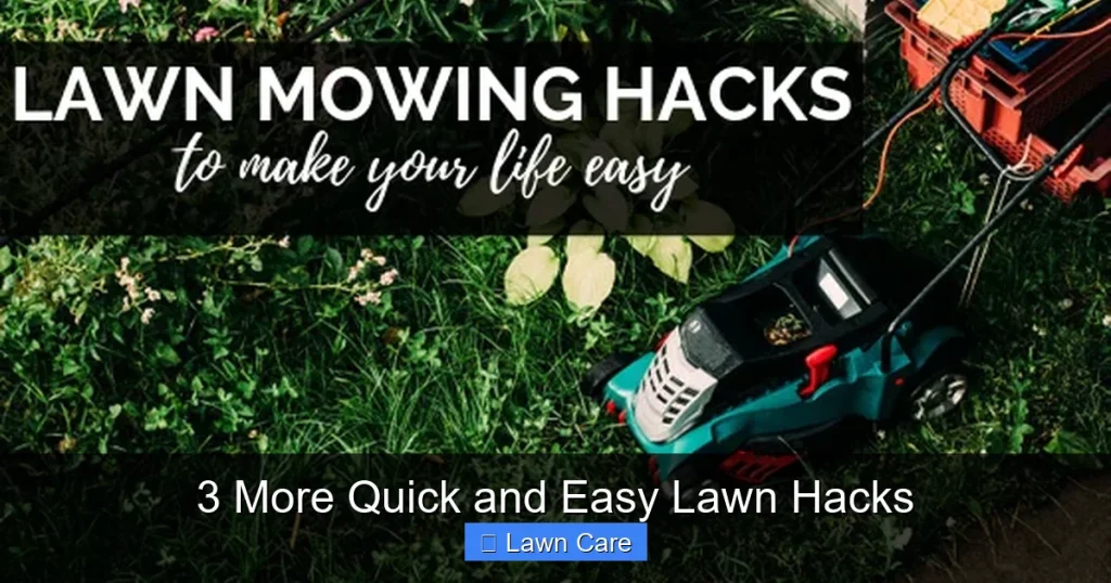 3 More Quick and Easy Lawn Hacks