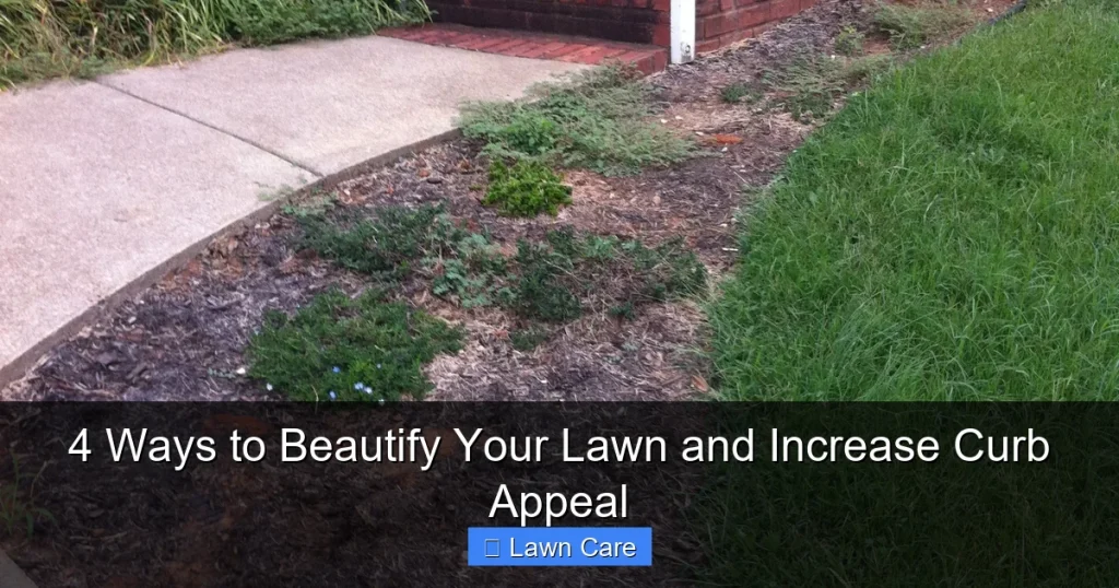 4 Ways to Beautify Your Lawn and Increase Curb Appeal
