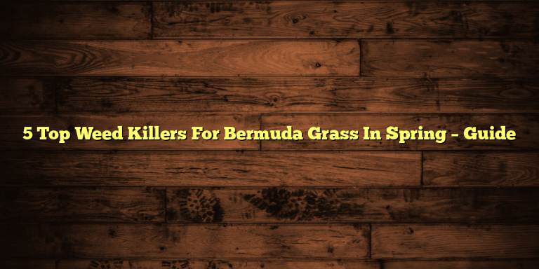 5 Top Weed Killers For Bermuda Grass In Spring – Guide