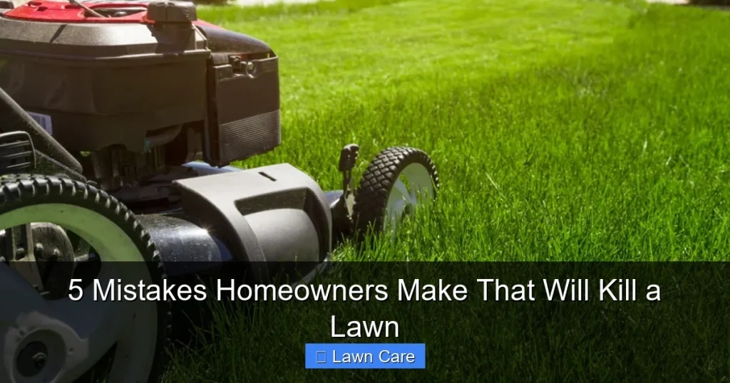 5 Mistakes Homeowners Make That Will Kill a Lawn