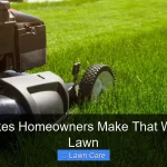 5 Mistakes Homeowners Make That Will Kill a Lawn