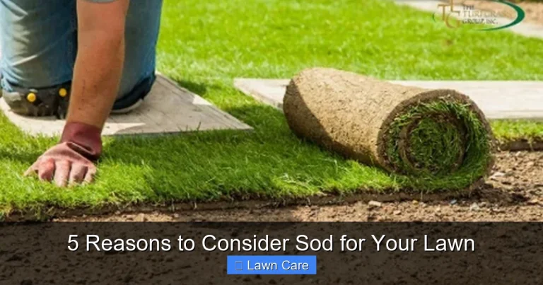 5 Reasons to Consider Sod for Your Lawn