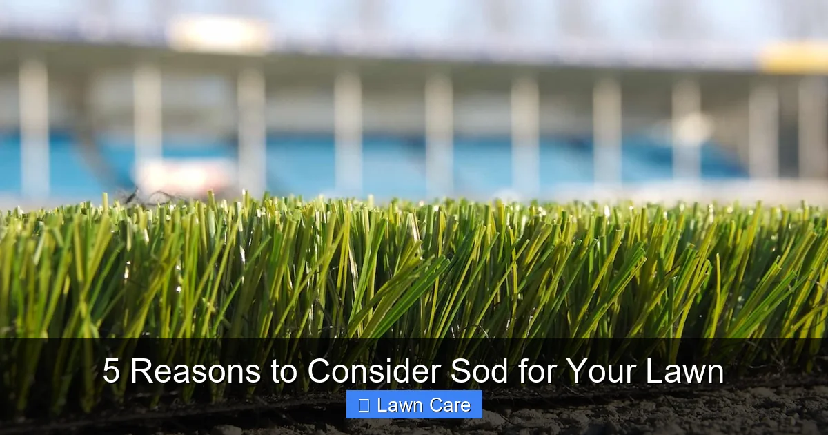 5 Reasons to Consider Sod for Your Lawn