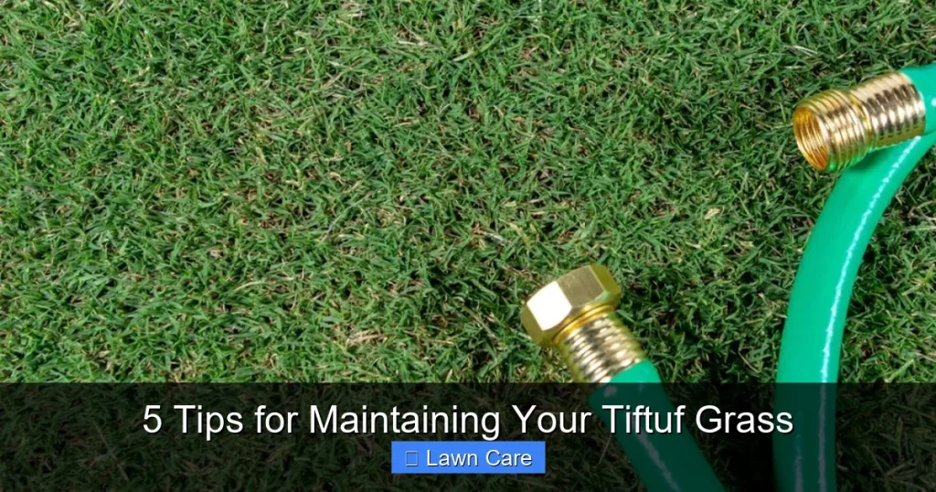 5 Tips for Maintaining Your Tiftuf Grass