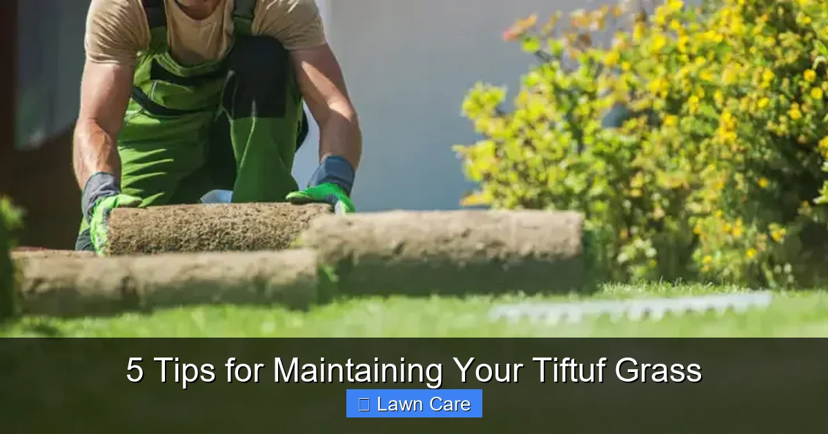 5 Tips for Maintaining Your Tiftuf Grass