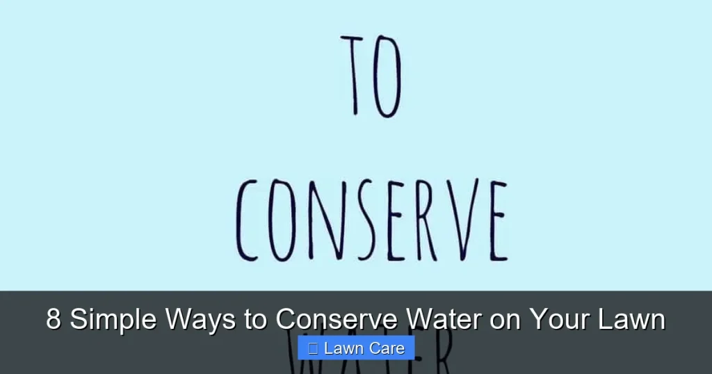 8 Simple Ways to Conserve Water on Your Lawn