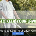 8 Ways to Keep Your Lawn Green