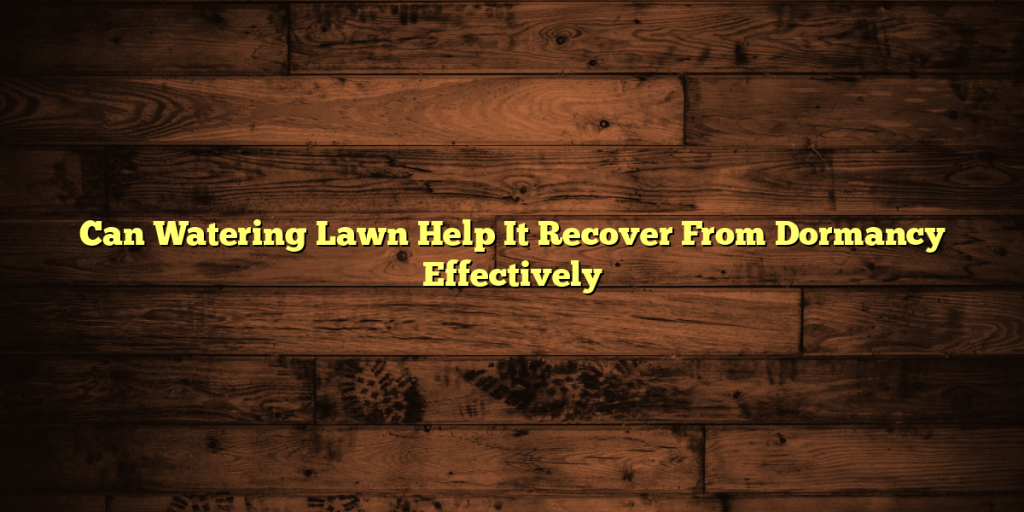 Can Watering Lawn Help It Recover From Dormancy Effectively
