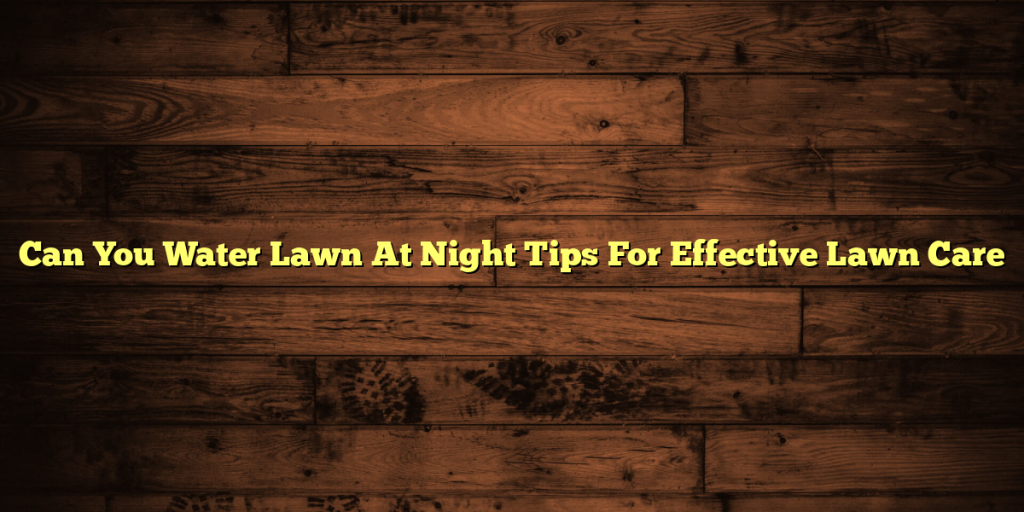 Can You Water Lawn At Night Tips For Effective Lawn Care
