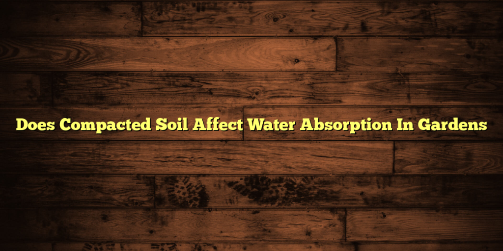 Does Compacted Soil Affect Water Absorption In Gardens