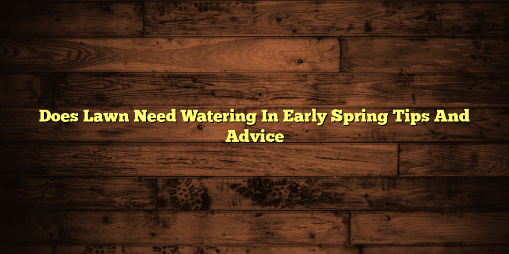 Does Lawn Need Watering In Early Spring Tips And Advice