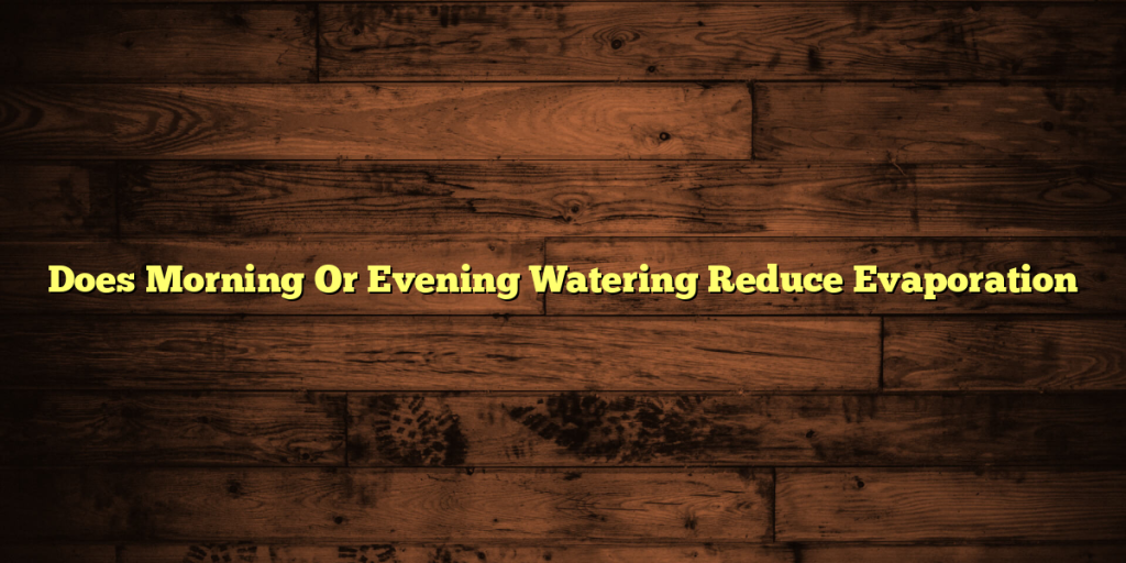 Does Morning Or Evening Watering Reduce Evaporation