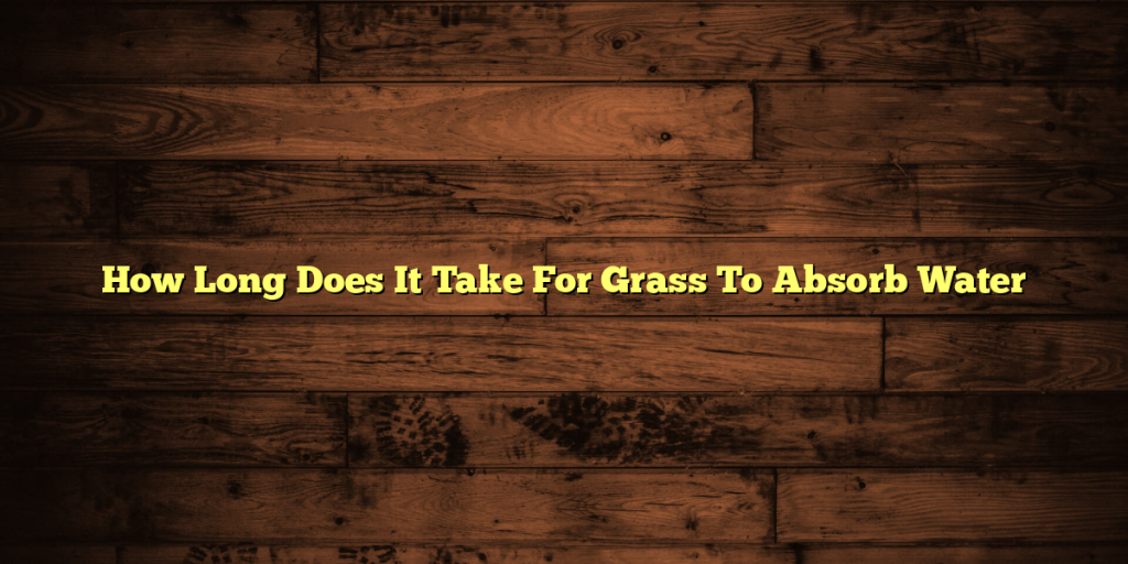 How Long Does It Take For Grass To Absorb Water