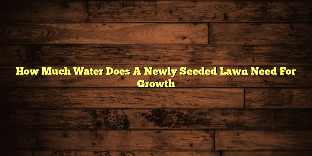 How Much Water Does A Newly Seeded Lawn Need For Growth