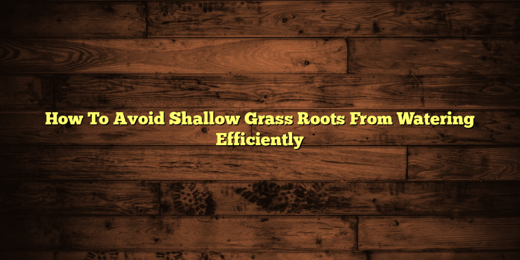 How To Avoid Shallow Grass Roots From Watering Efficiently