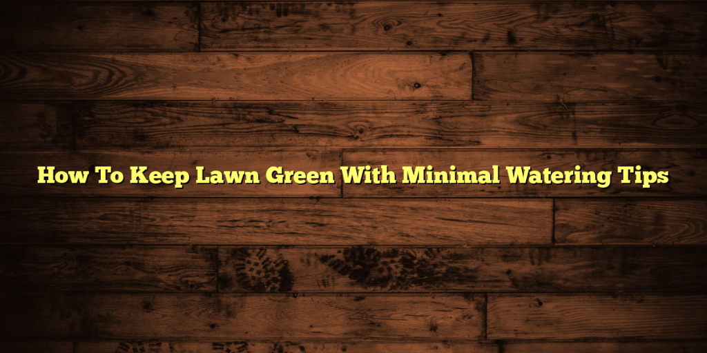 How To Keep Lawn Green With Minimal Watering Tips