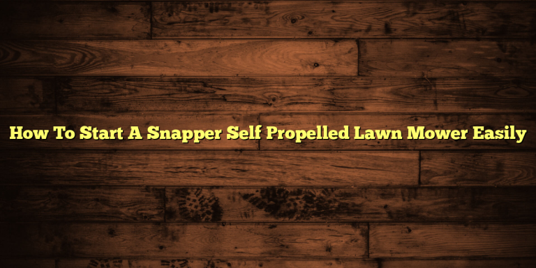 How To Start A Snapper Self Propelled Lawn Mower Easily
