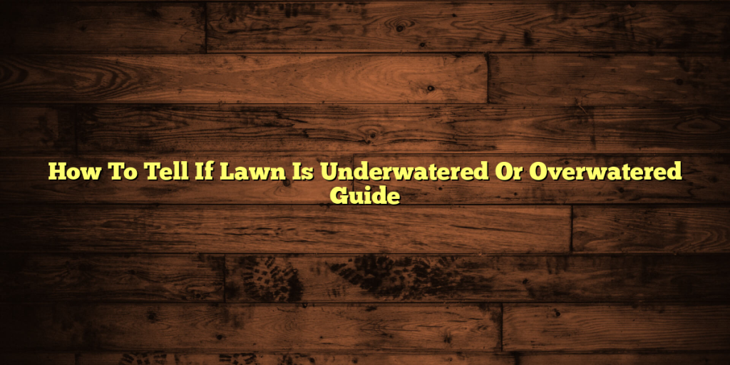 How To Tell If Lawn Is Underwatered Or Overwatered Guide