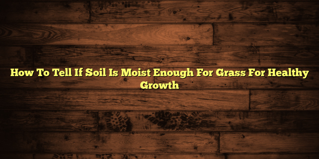 How To Tell If Soil Is Moist Enough For Grass For Healthy Growth