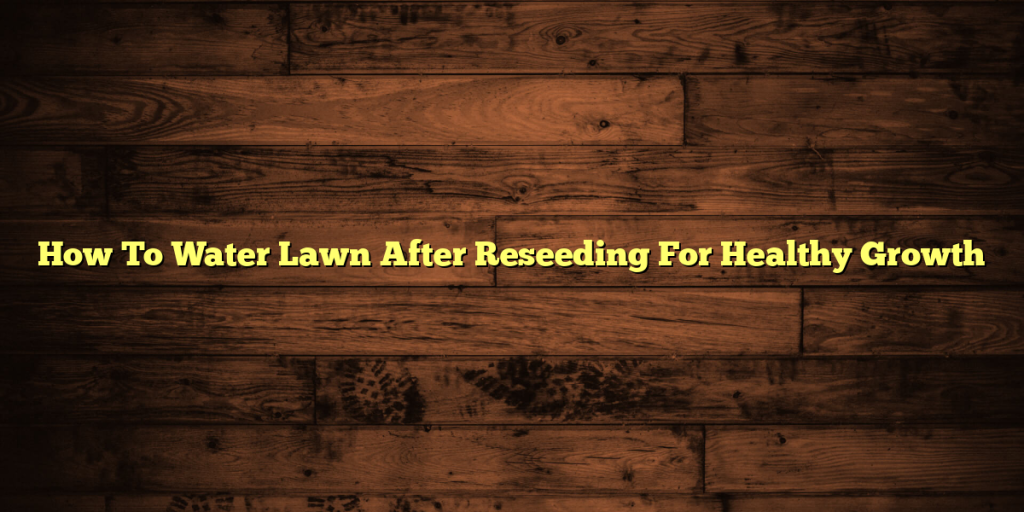 How To Water Lawn After Reseeding For Healthy Growth