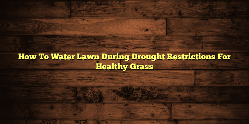 How To Water Lawn During Drought Restrictions For Healthy Grass