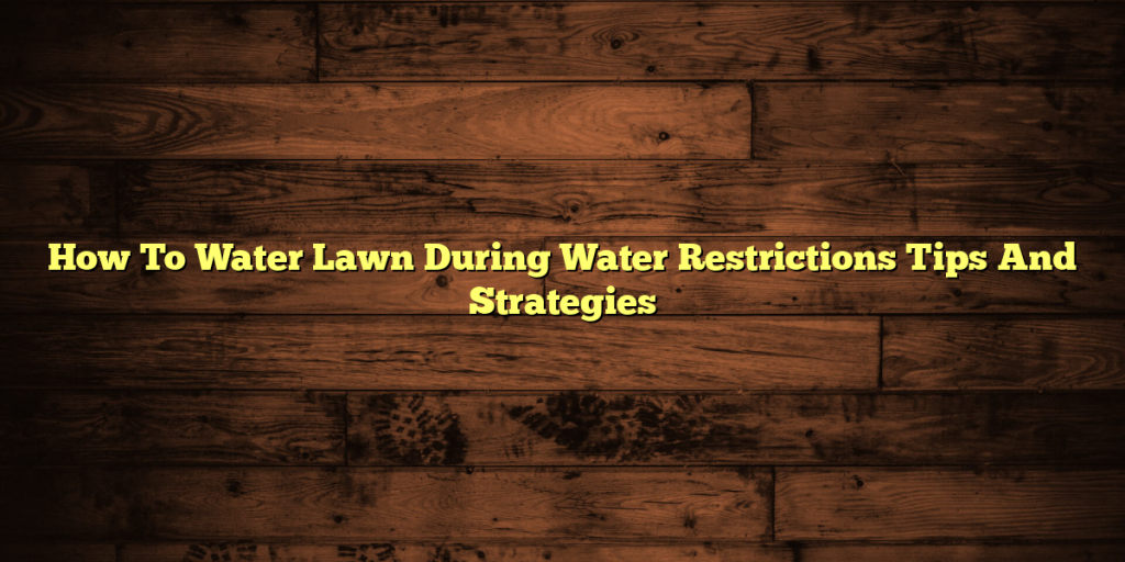 How To Water Lawn During Water Restrictions Tips And Strategies