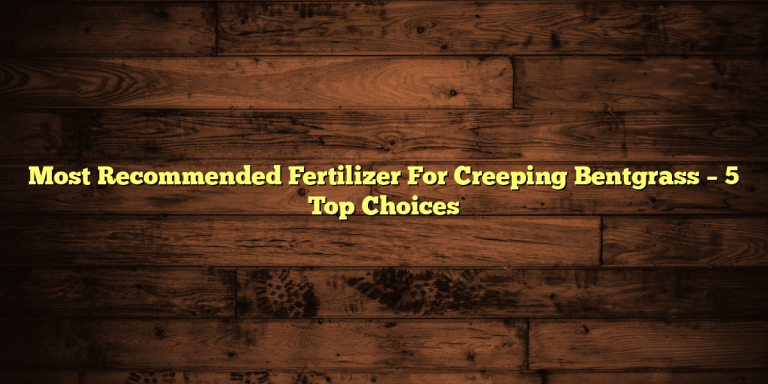 Most Recommended Fertilizer For Creeping Bentgrass – 5 Top Choices