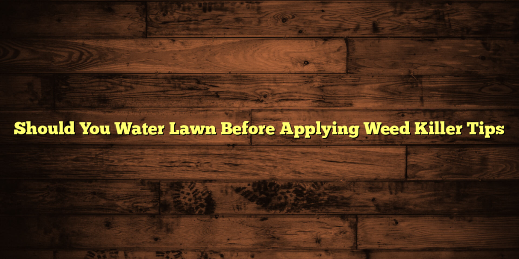 Should You Water Lawn Before Applying Weed Killer Tips
