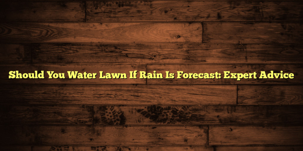 Should You Water Lawn If Rain Is Forecast: Expert Advice