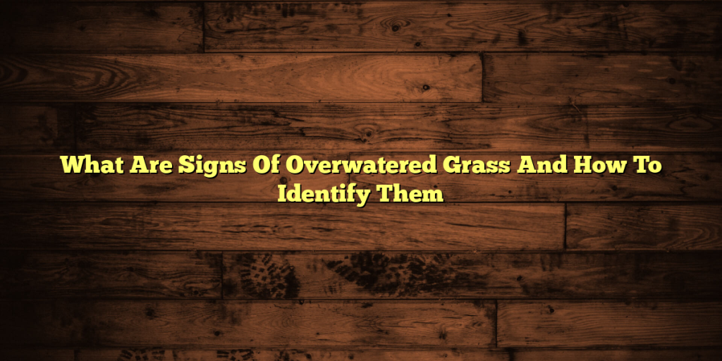 What Are Signs Of Overwatered Grass And How To Identify Them