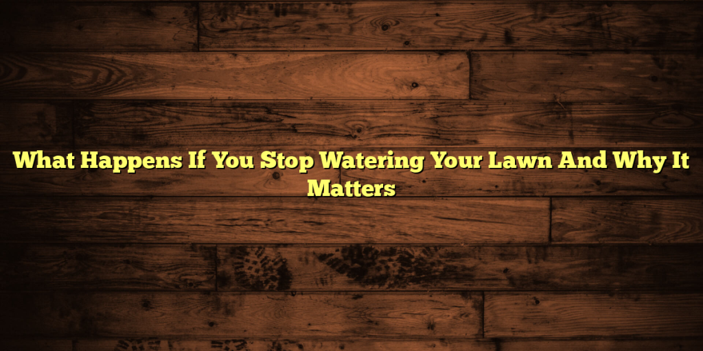 What Happens If You Stop Watering Your Lawn And Why It Matters