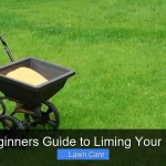 A Beginners Guide to Liming Your Lawn