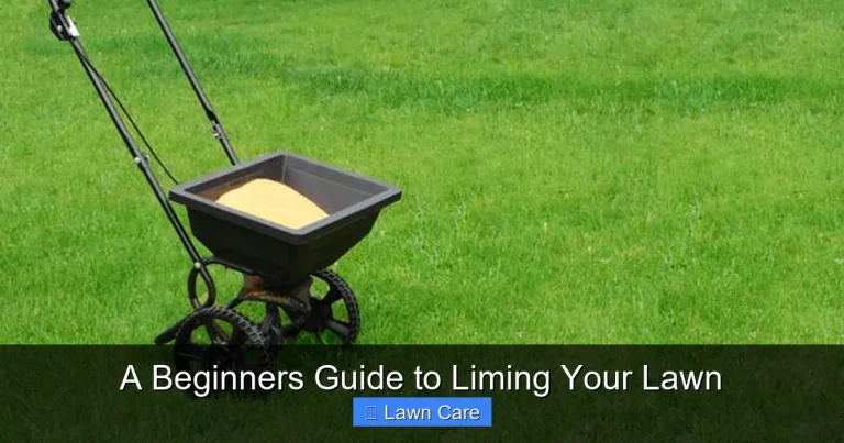 A Beginners Guide to Liming Your Lawn