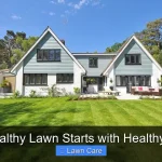 A Healthy Lawn Starts with Healthy Soil