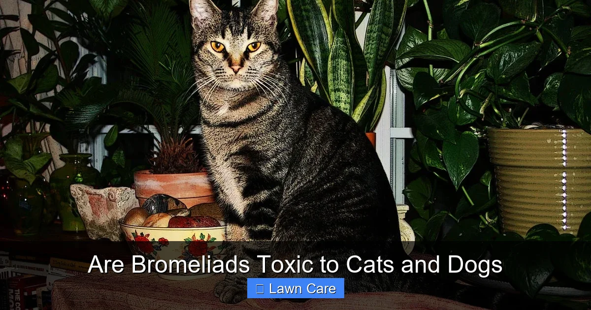 Are Bromeliads Toxic to Cats and Dogs