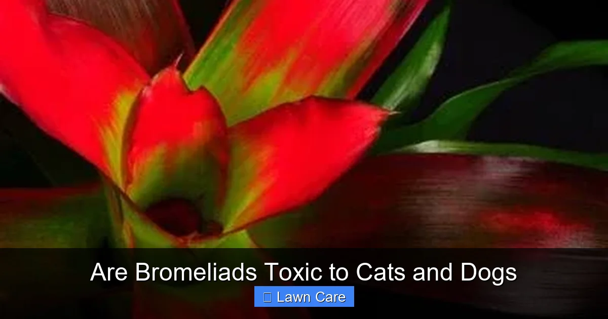 Are Bromeliads Toxic to Cats and Dogs